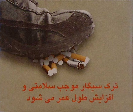 Iran 2012 Quitting - clever
